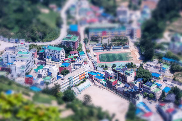 울릉도 독도 2박3일 여행 일정 팁 맛집 완전 총정리