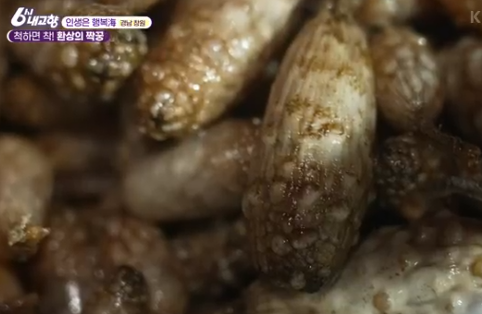 해동수산식품