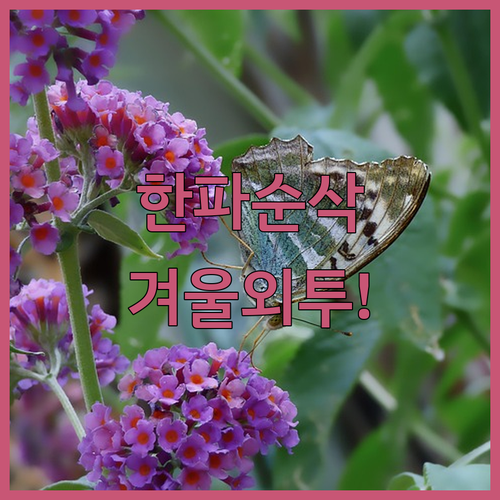 따뜻한 겨울 외투 종류별 보온성 분석..