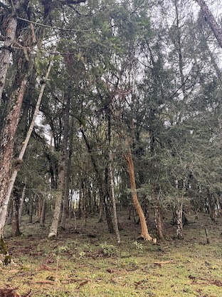 샬레 외부 트랙킹