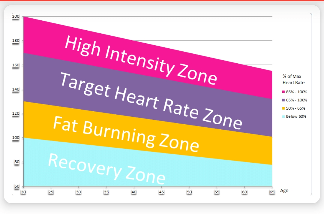 심박수와 지방연소 그래프
