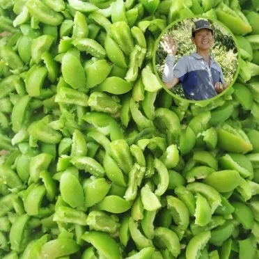 매실 수확시기_12