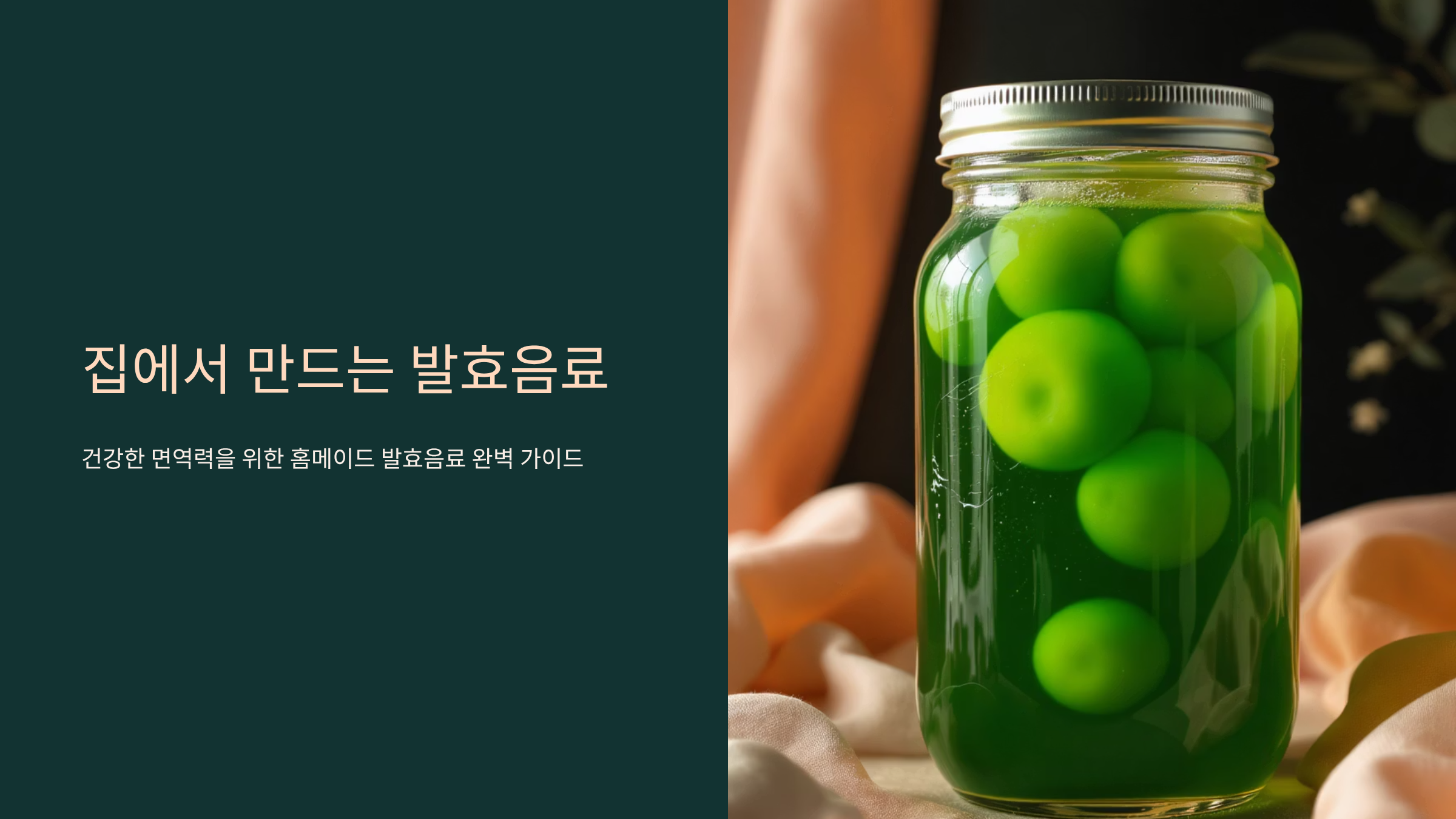 면역력 높이는 홈메이드 발효음료 만들기