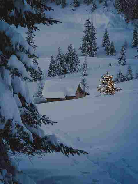 투썸크리스마스케이크
