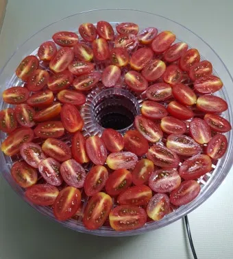 2주 이상 방울토마토 보관 시 꿀팁 오래 보관_12