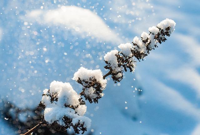 저온저장고 3평가격 2평가격