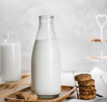 단백질 많은 음식 식물성 동물성