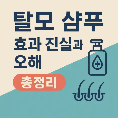 탈모 샴푸 효과 진실과 오해 총정리