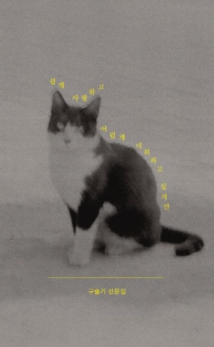 책-표지