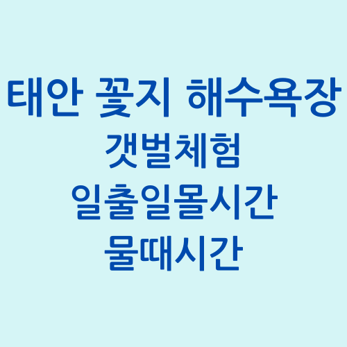 태안 꽃지해수욕장 갯벌체험