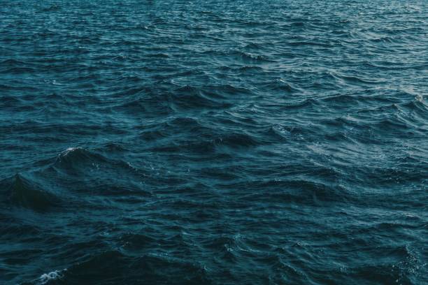 출처-픽사베이 부산출발 국내여행 코스 가이드