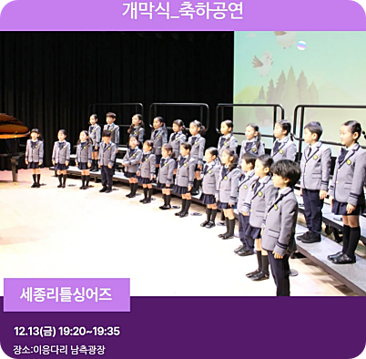  세종시 빛 축제 