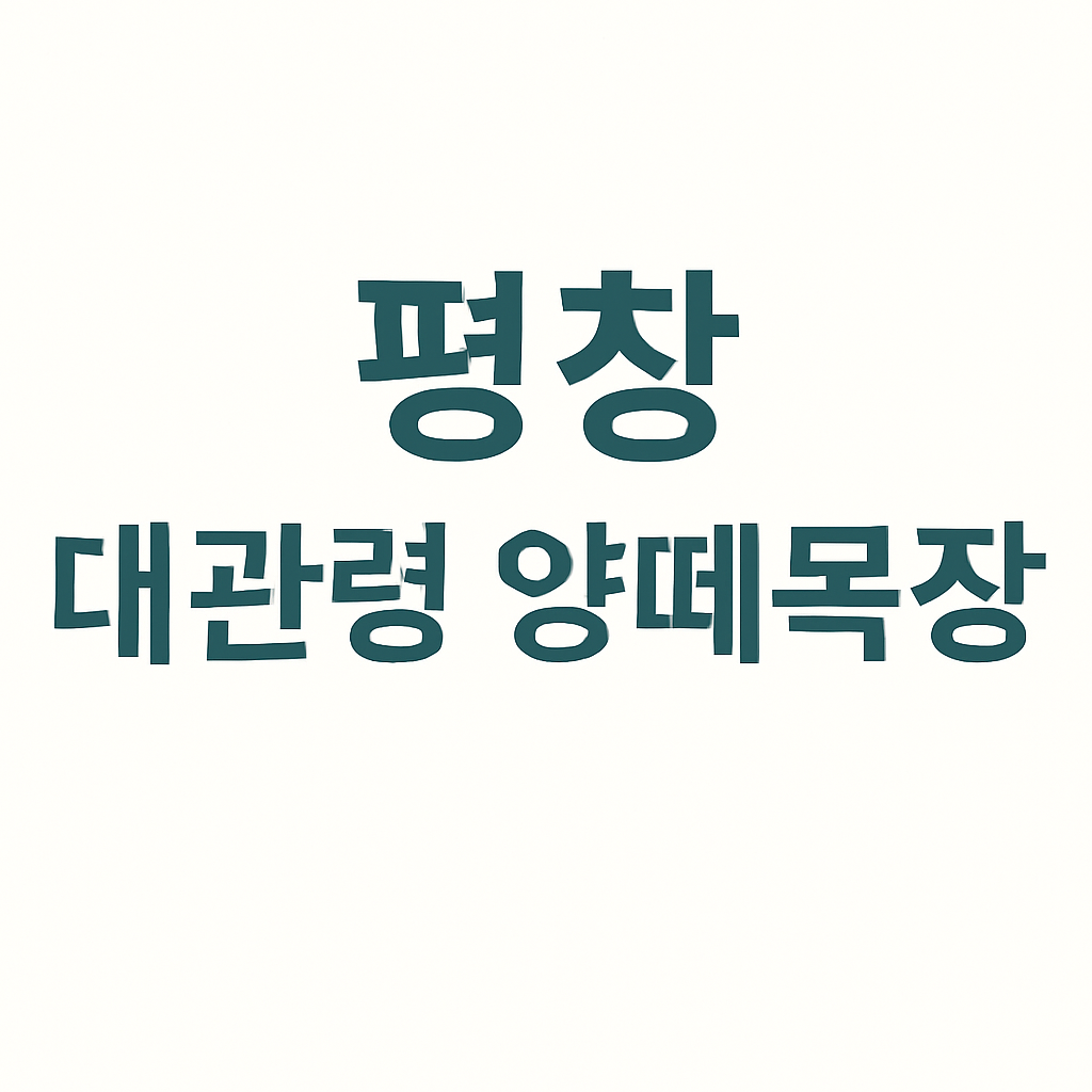 8월 강원도 여행지 추천 10선｜직접 다녀온 피서 명소 총정리!