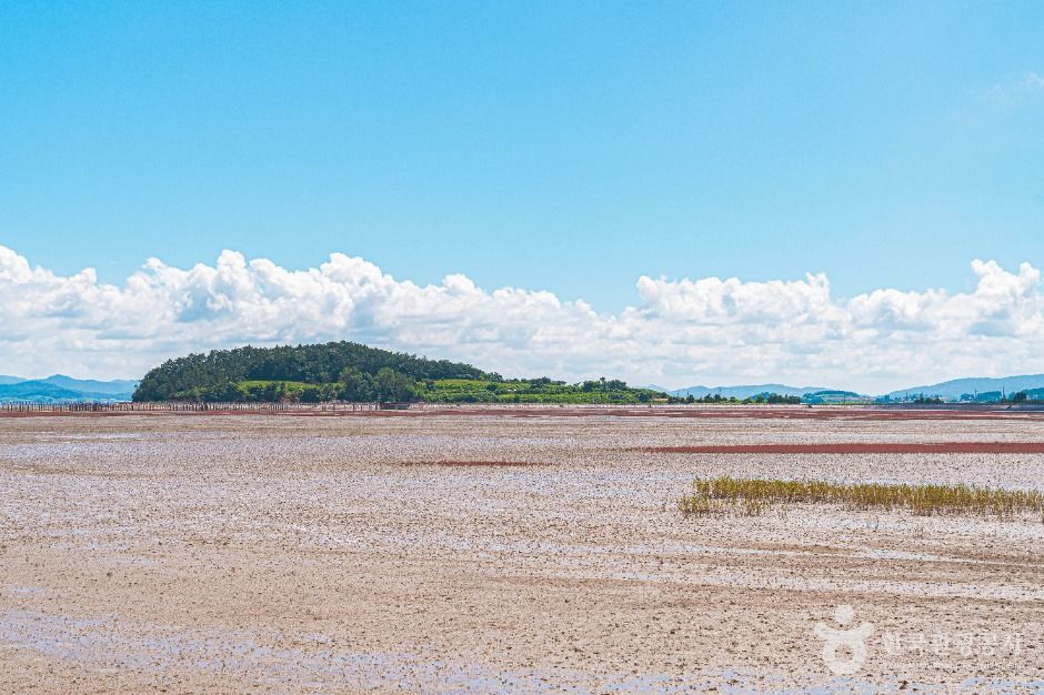 서해안 물때 시간표