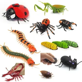 곤충과 동물의 차이점 생물 분류 기준과 이해 돕기_3