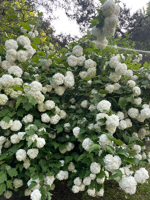 좋은 경험이 기억될 때 꾸준히 달리게 된다.
