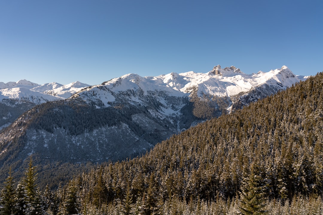 Alpenroute