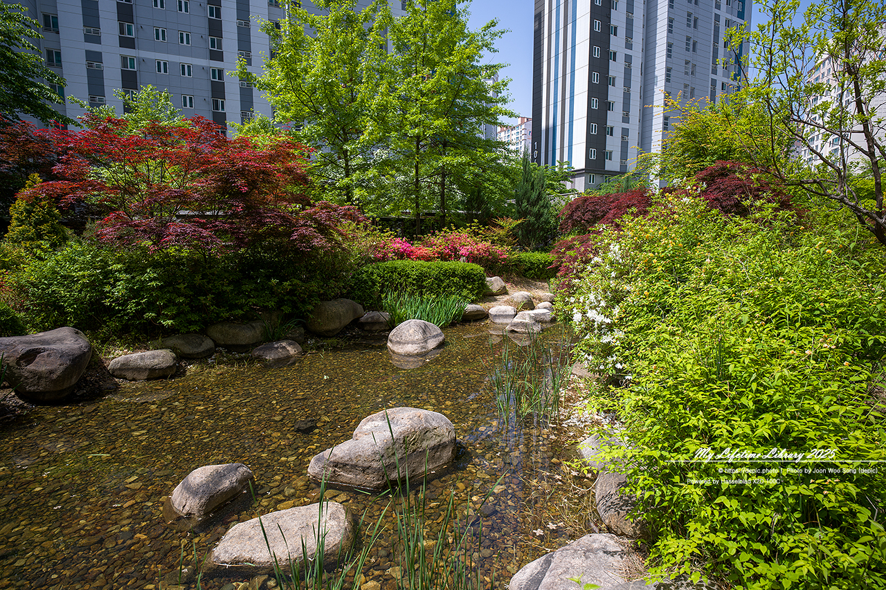 #아파트 #정원 #오창 #오창대성베르힐