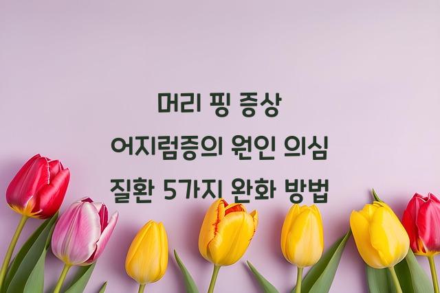 어지럼증의 원인