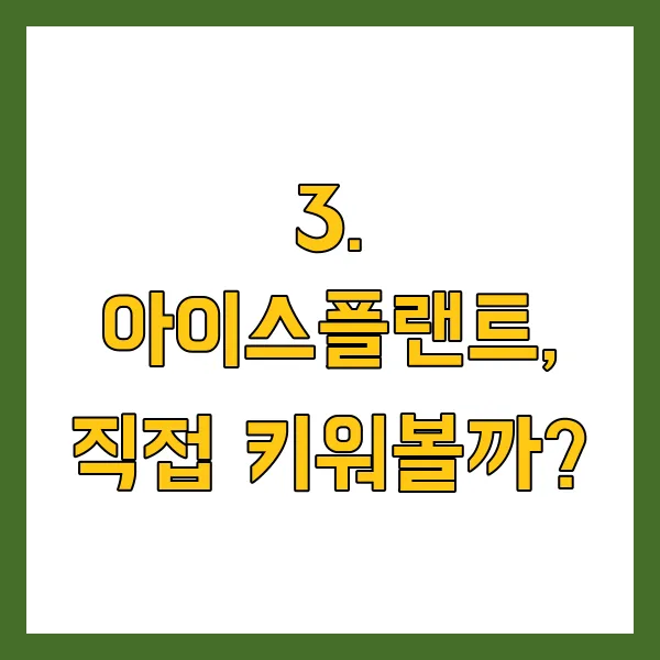 아이스플랜트 효능 효과, 주문 방법, 요리법 생방송 오늘아침