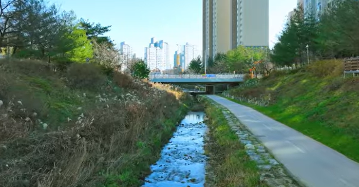 도심 산책로의 모습