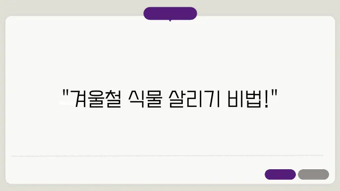 겨울철 실내 식물 관리 팁