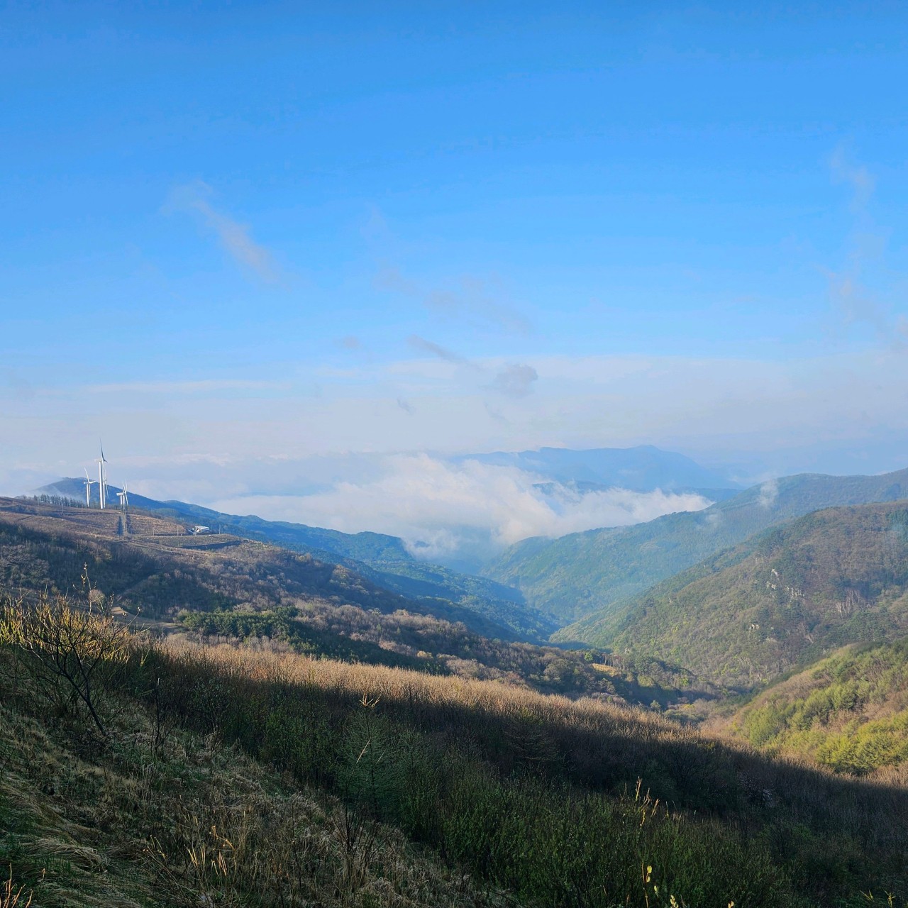 2025 평창 시티투어 예약, 2025 평창 시티투어 시간표, KTX 당일치기 여행, 가성비 여행