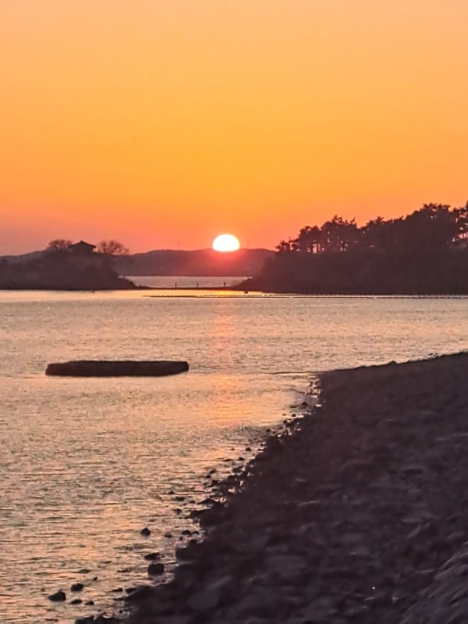 6시내고향 충남 서산 간월도 해물 손칼국수 맛집 간월도손칼국수