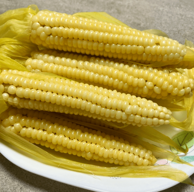 옥수수 삶는 방법