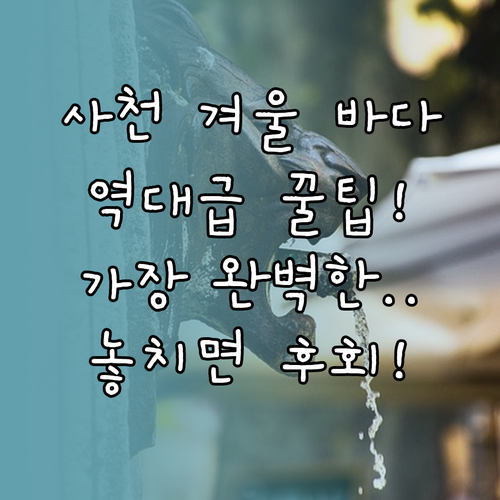 1월 사천 겨울 바다를 가장 따뜻하고..