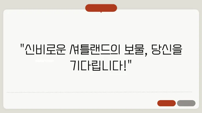 셔틀랜드쉽독