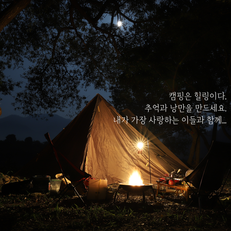 극세사전기요