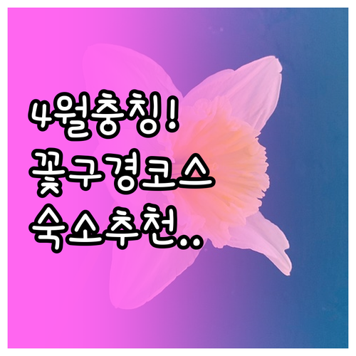 4월 충칭 여행 난산 식물원 꽃구경 ..