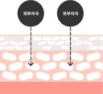 피부장벽에 대한 사진