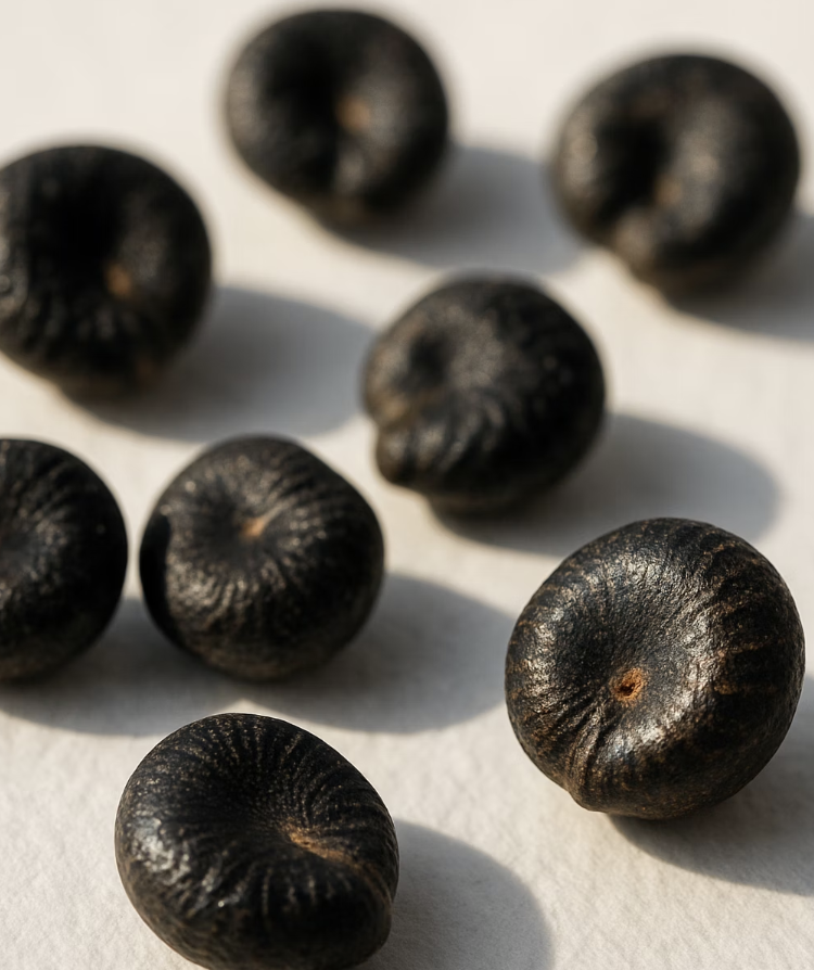 잠자는 씨앗을 깨우는 첫 단계