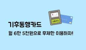 기후동행카드