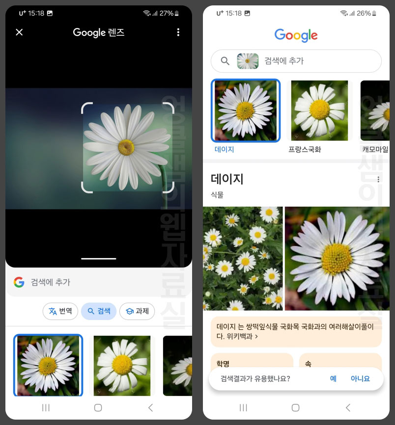 구글 인터넷 이미지 검색