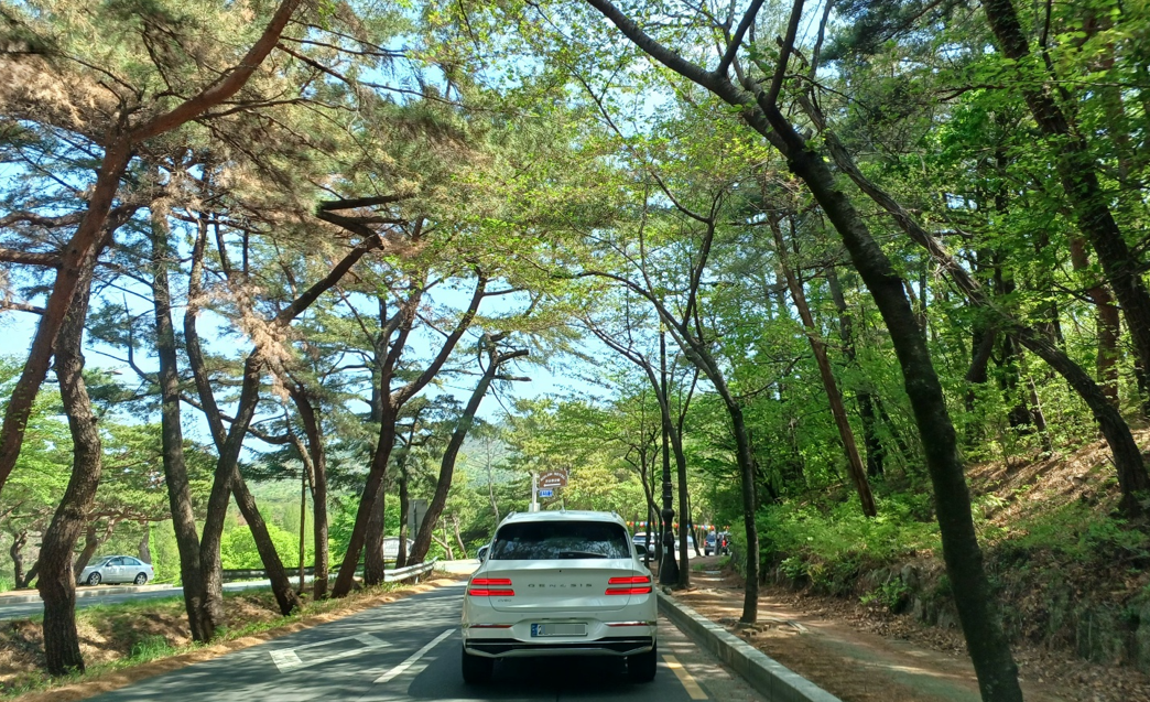 일반차량 하얀색 번호판