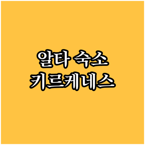 알타 키르케네스 여행 숙소 고민 스칸