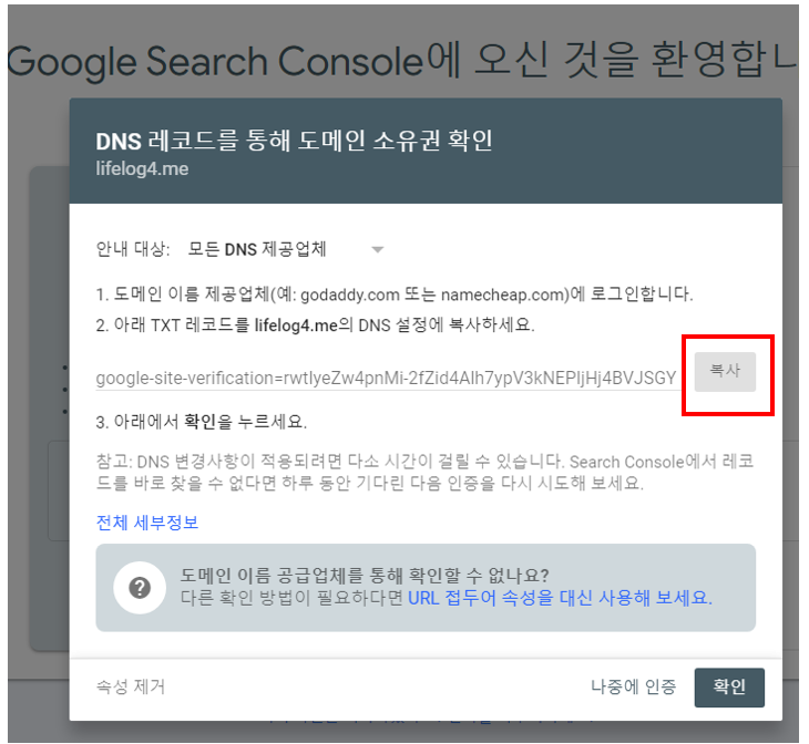 2차 도메인 구글 서치콘솔 연결 중 DNS 레코트 복사 화면