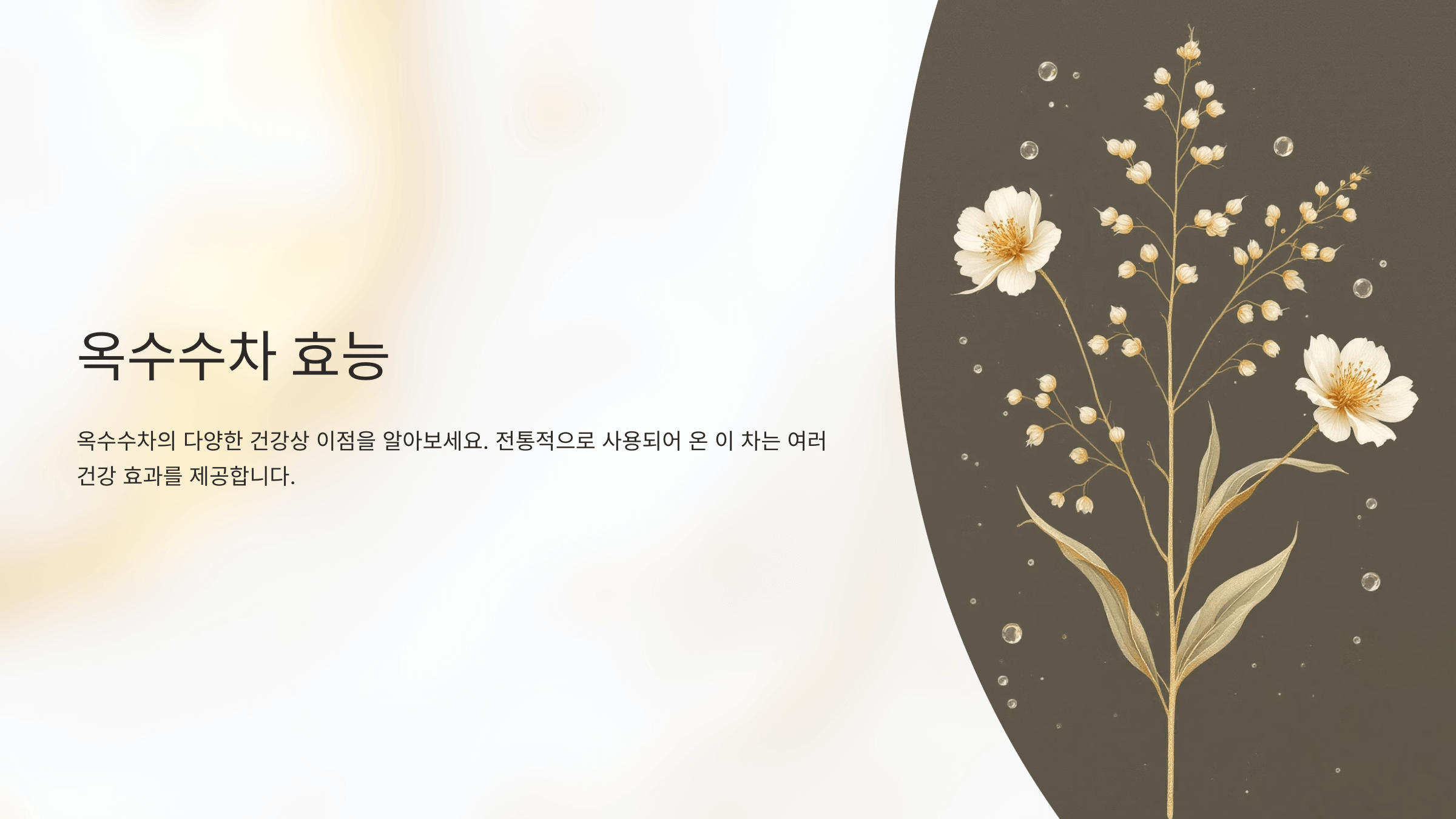 옥수수차 사진입니다.