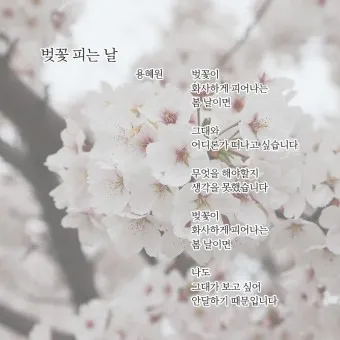 봄 시 모음 이해인 나태주 명시 모음_6
