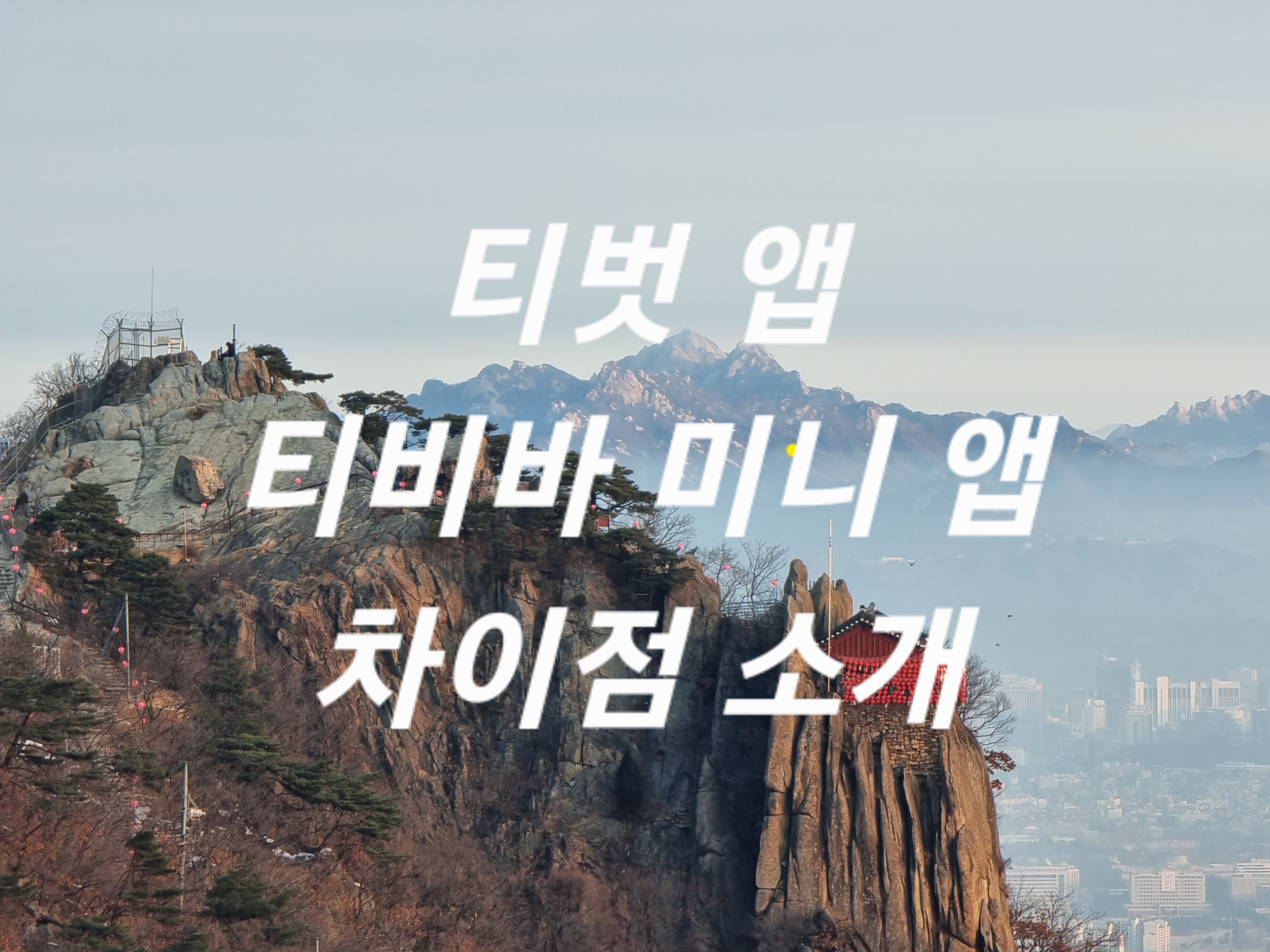 실시간 방송 시청, 스마트폰 미러링, TV 연동 앱, 투표 참여 앱,
양방향 소통 플랫폼