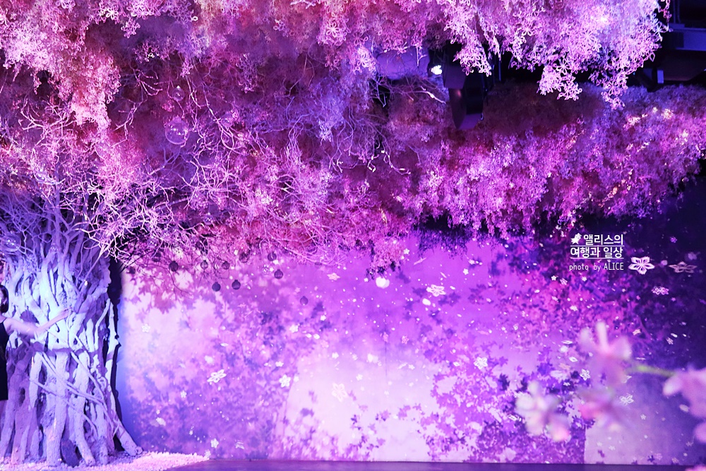 플라워바이네이키드 홍대 놀거리 입장료 23% 할인예매방법, 즐기는 꿀팁 네가지