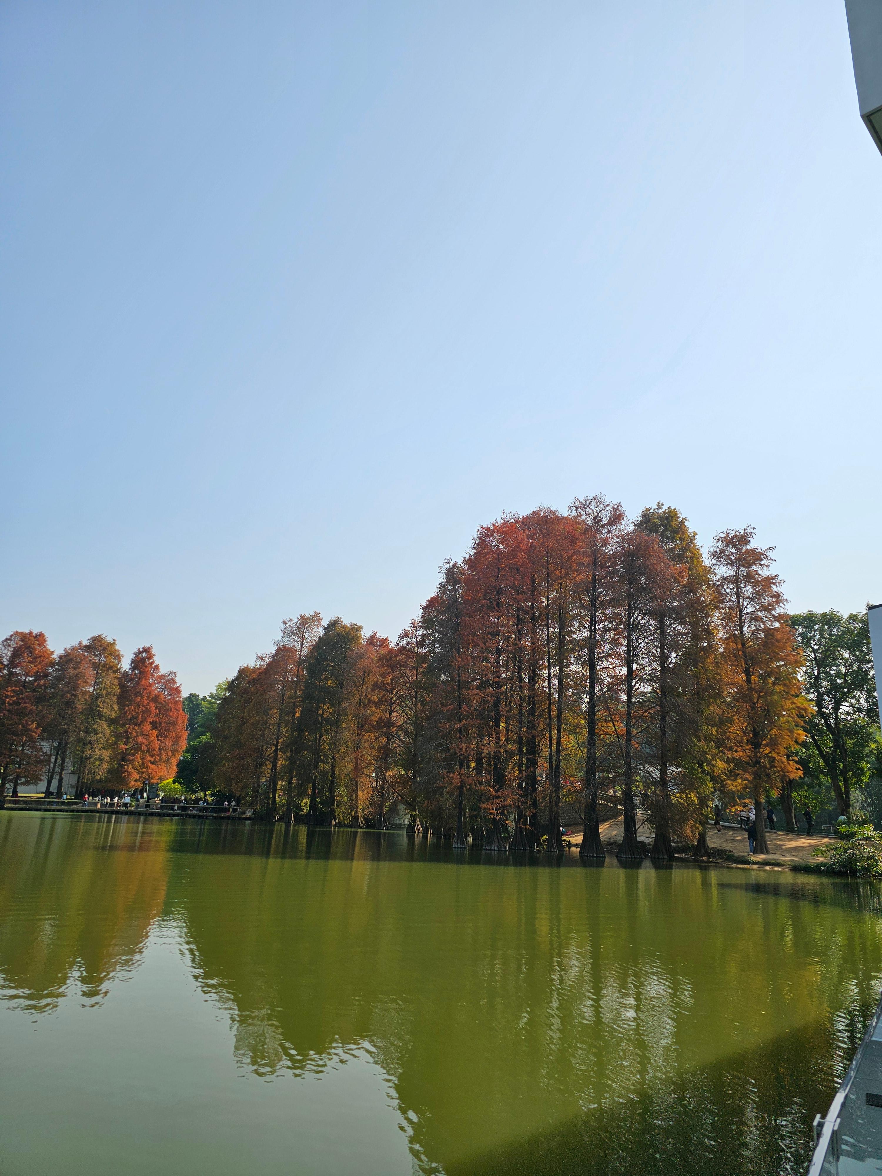 화남국가식물원 내 잔잔한 호수 카페