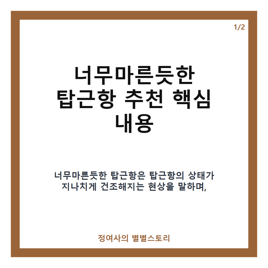 너무마른듯한 탑근항 추천과 전문 지식 기반 선택 가이드 카드뉴스 1