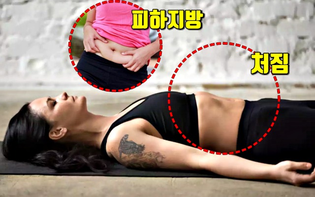 뱃살 내장지방 확인,팁줌