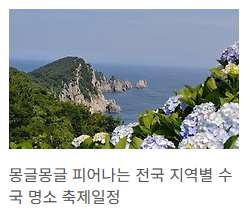 수국