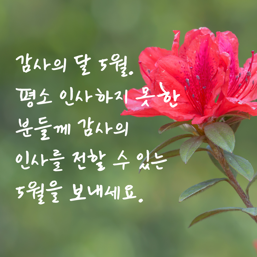 5월 인사말 문구 모음집 이미지