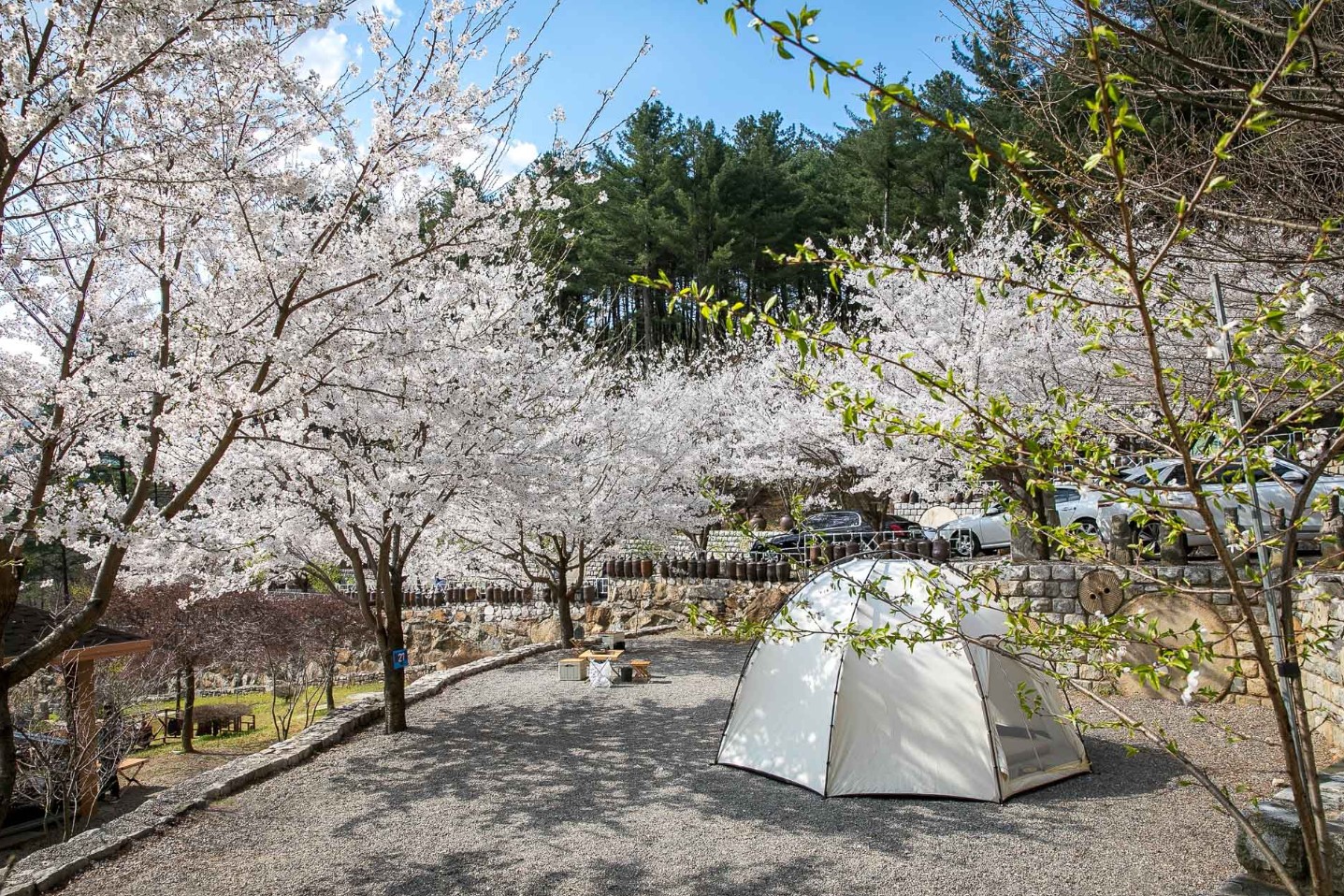 포천 프로방스 수목원(1)